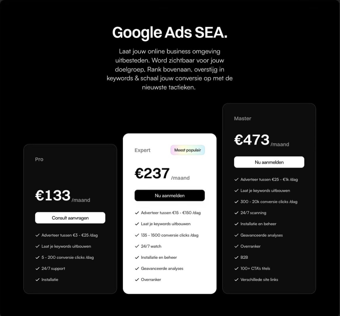 Google Ads SEA Campagne Strategie - Afbeelding 2